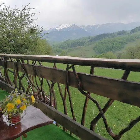 Villa Casa Rustica à Braşov Extérieur photo