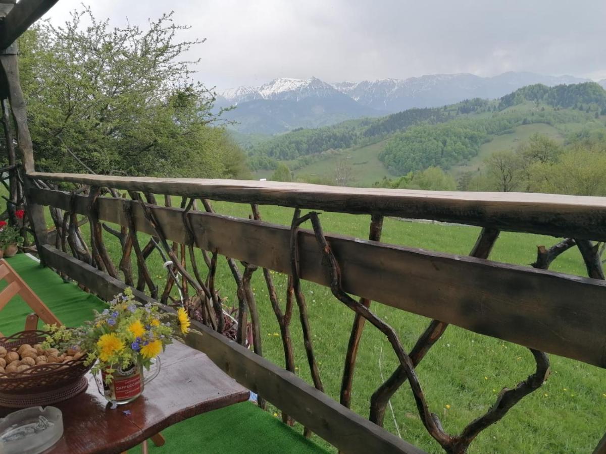 Casa Rustica Lodge Braşov