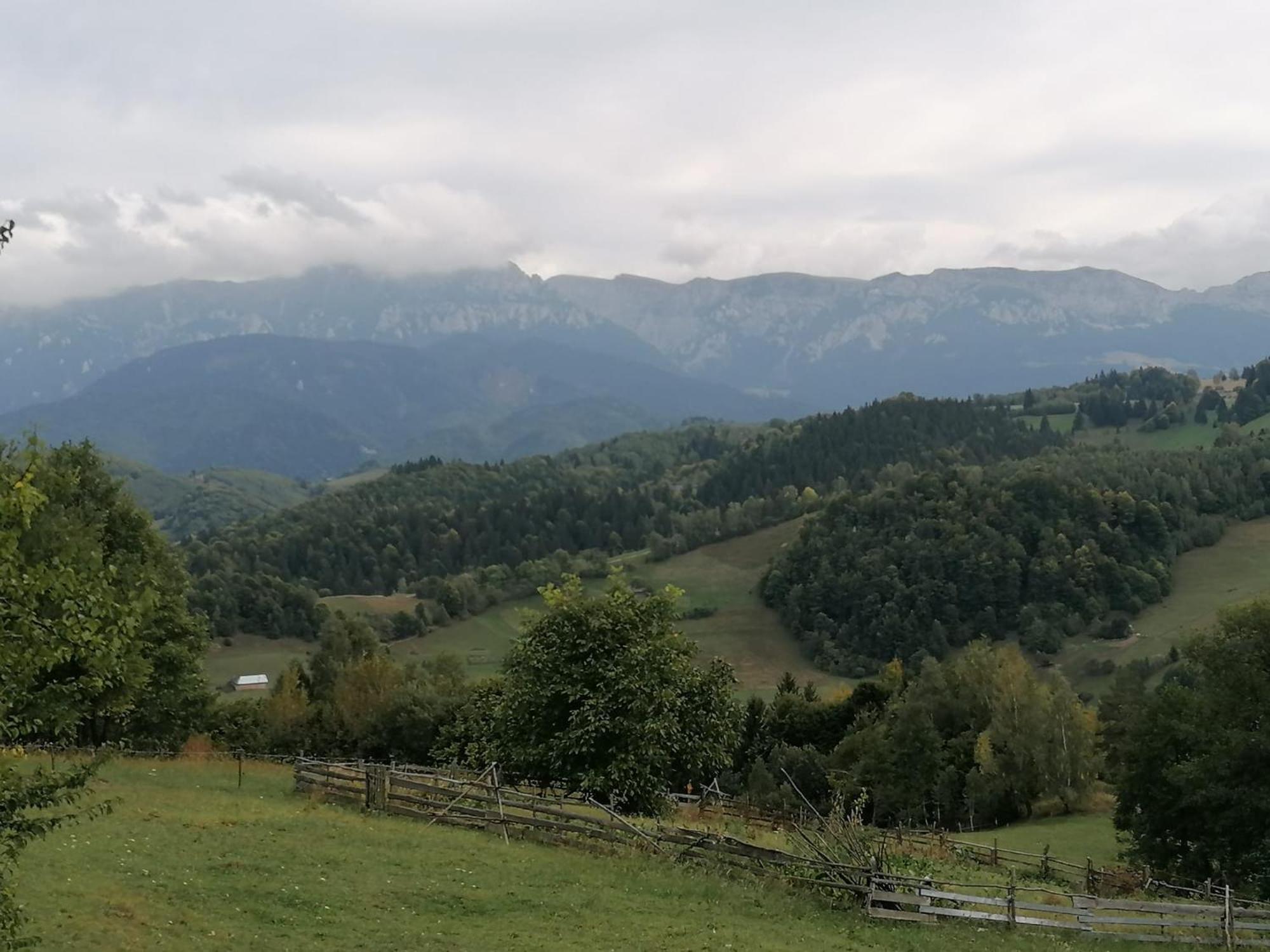 Casa Rustica Lodge