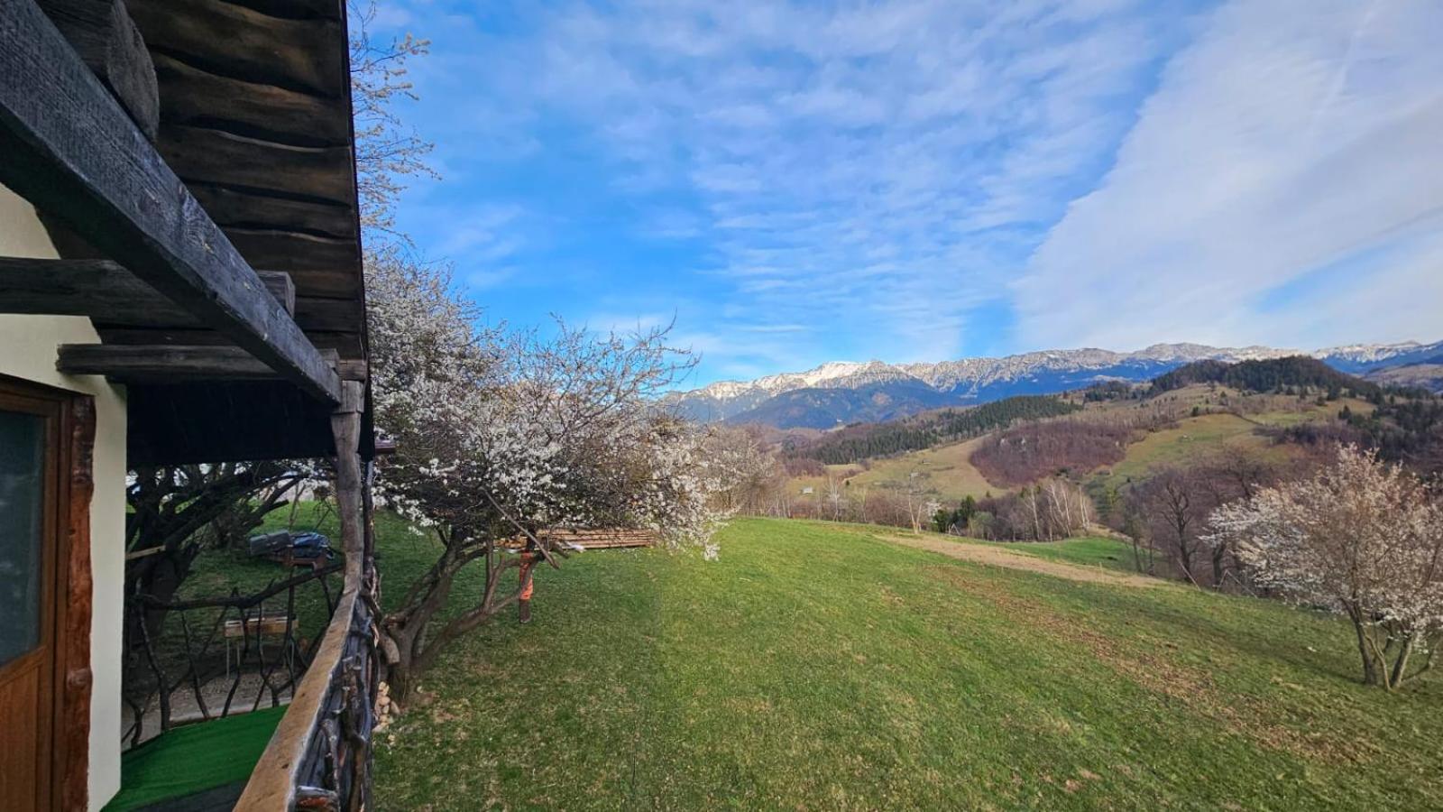 Lodge Casa Rustica *