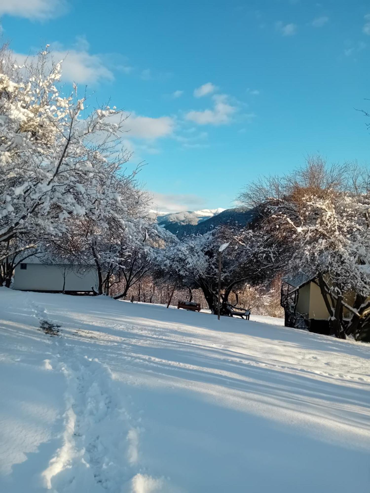 Casa Rustica Lodge *